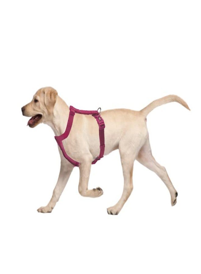 Trixie Premium Touring Harness for Dogs Made with Fleece Padding, Adjustable, and Lightweight Strong D-Ring Keeps The Harness and Leash in Place (L-XL, Orchid) - Image 2